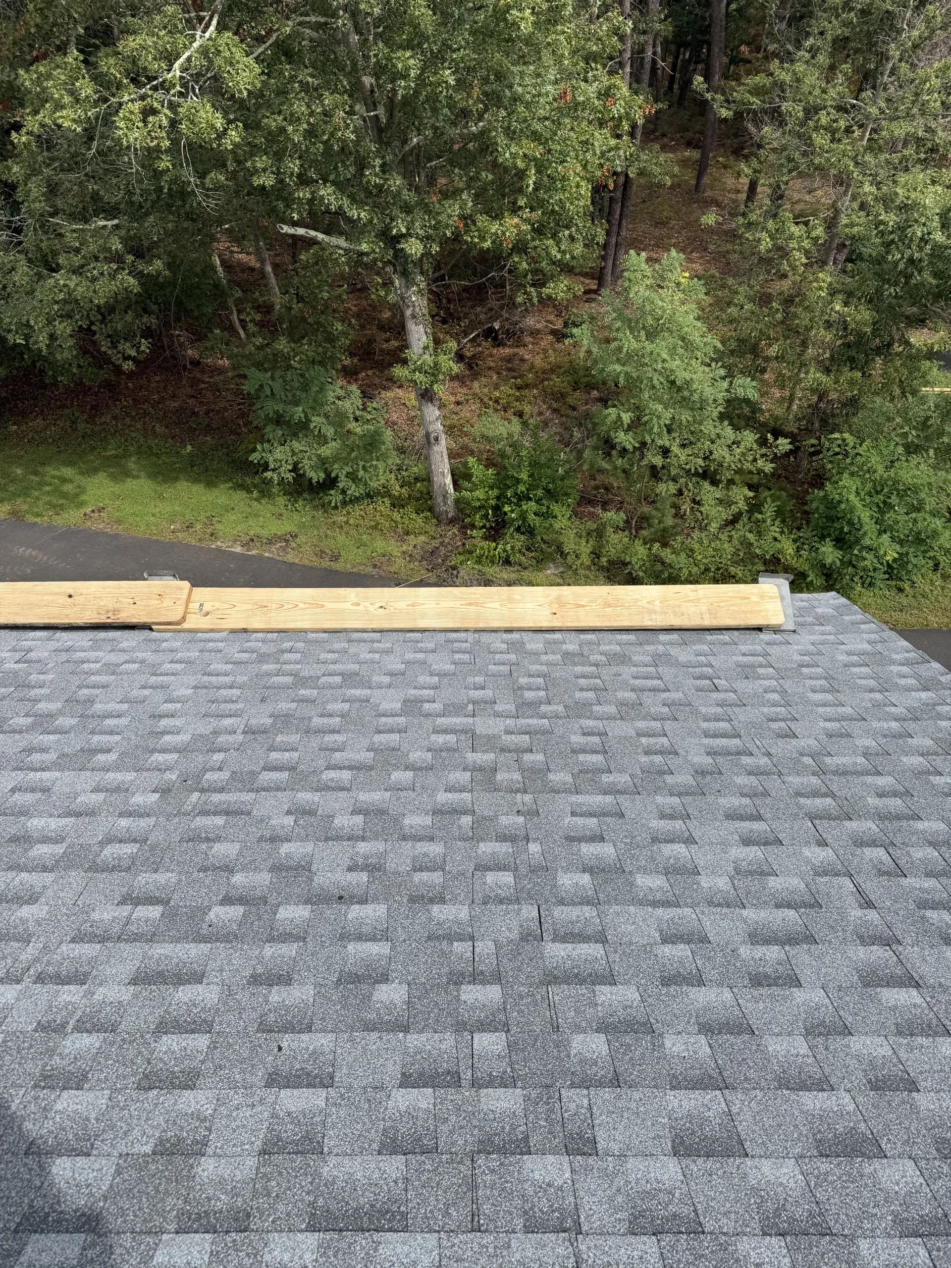 Tree line view from Brookhaven